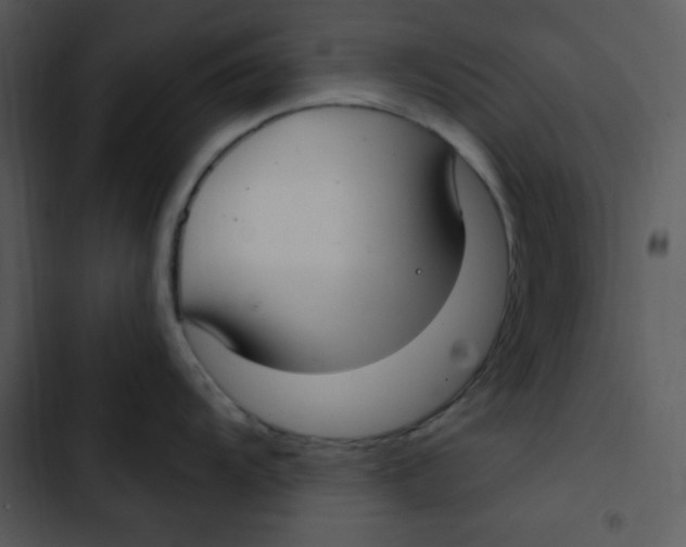 X0000102811104200809081102