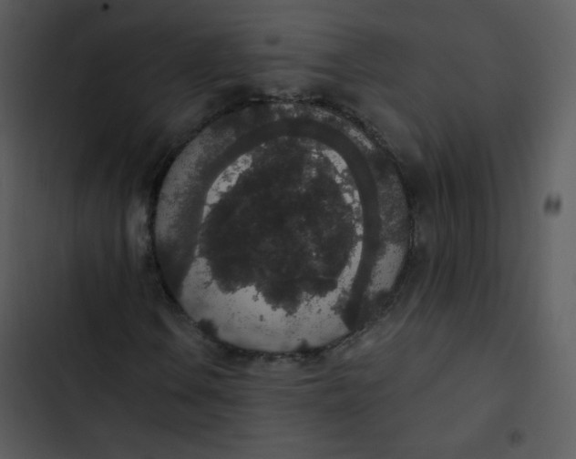 X0000102811106200809081102