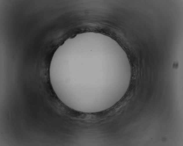 X0000102811109200809081102