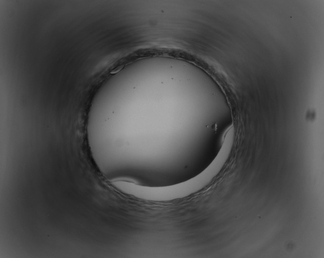 X0000102811110200809081102