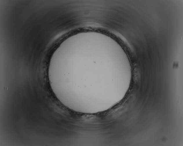 X0000102811112200809081102