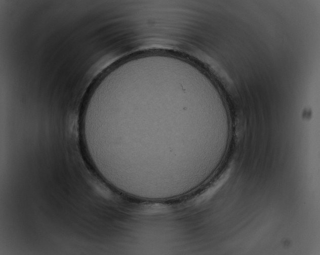 X0000102811113200809081102