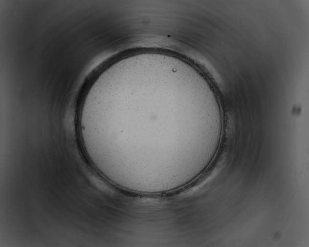 X0000102811114200809081102