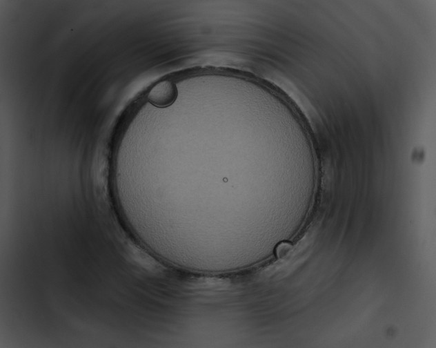 X0000102811115200809081102