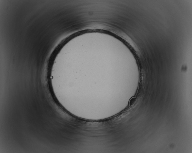 X0000102811116200809081102