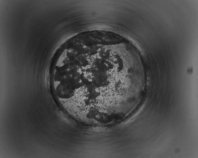 X0000102811117200809081102