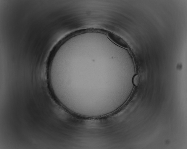 X0000102811118200809081102