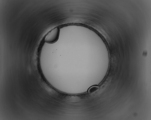 X0000102811119200809081102