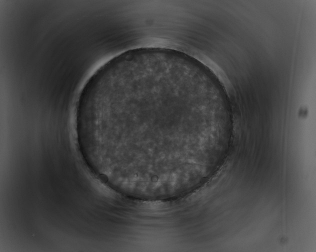 X0000102811120200809081102