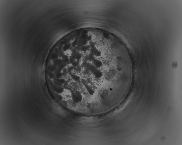 X0000102811121200809081102