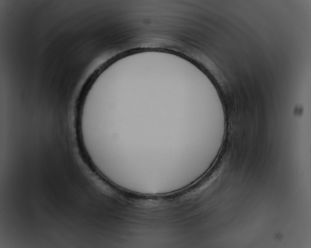 X0000102811122200809081102