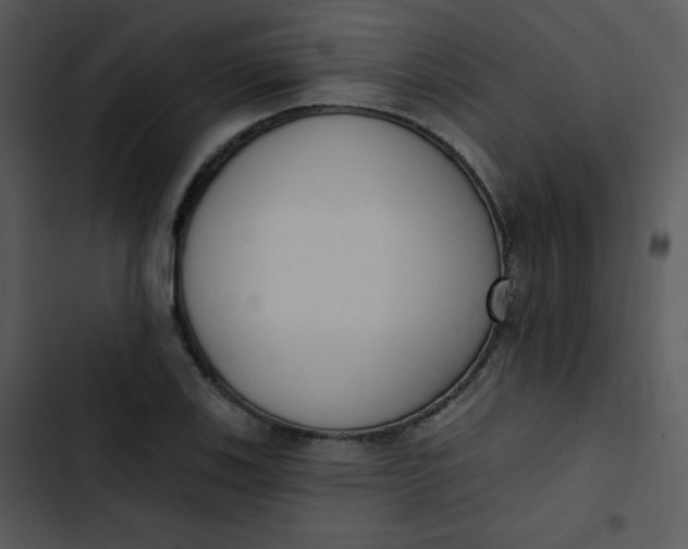 X0000102811123200809081102