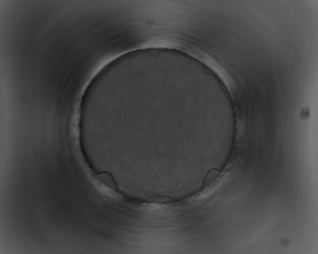 X0000102811124200809081102