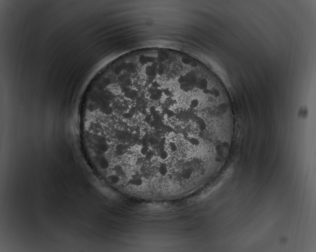 X0000102811125200809081102