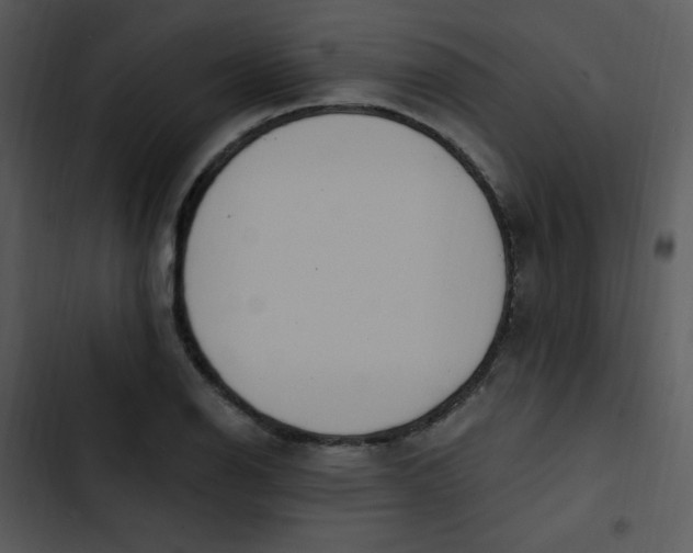 X0000102811126200809081102