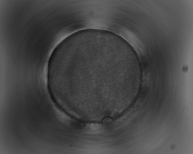 X0000102811128200809081102