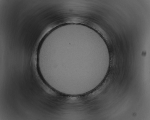 X0000102811130200809081102