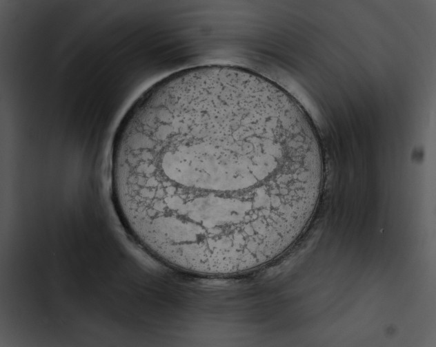 X0000102811132200809081102