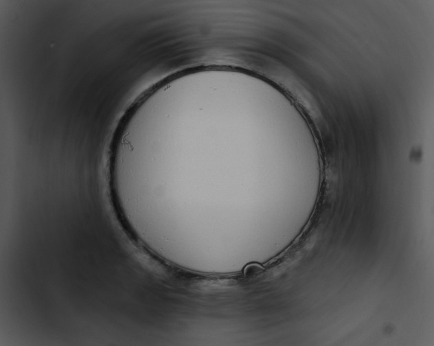 X0000102811133200809081102