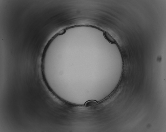 X0000102811134200809081102