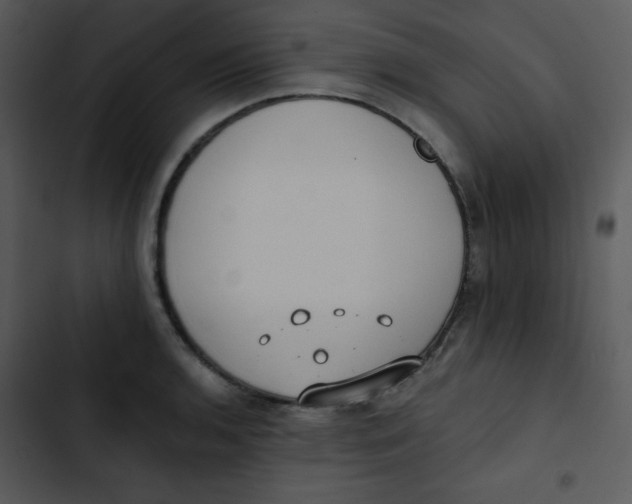 X0000102811136200809081102