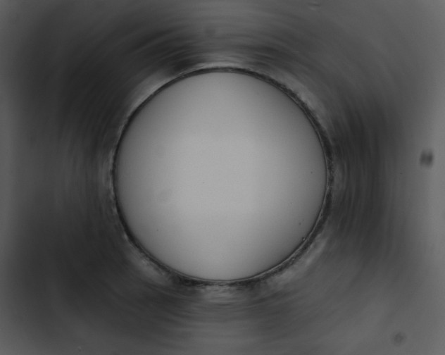 X0000102811137200809081102