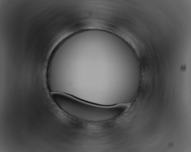 X0000102811138200809081102