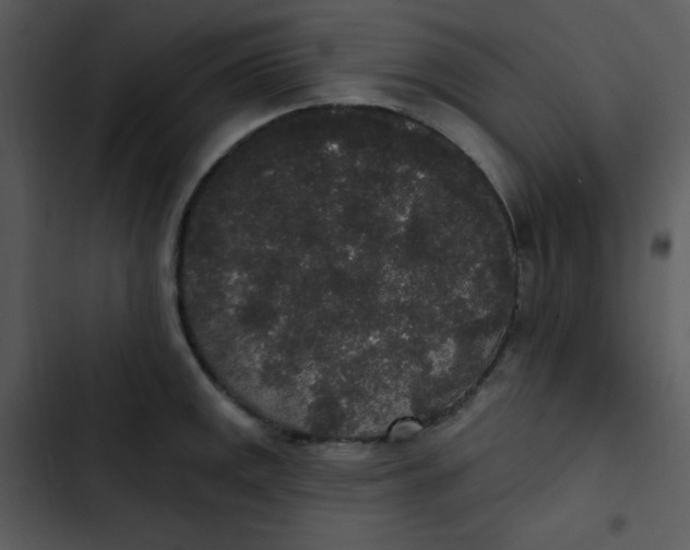 X0000102811141200809081102