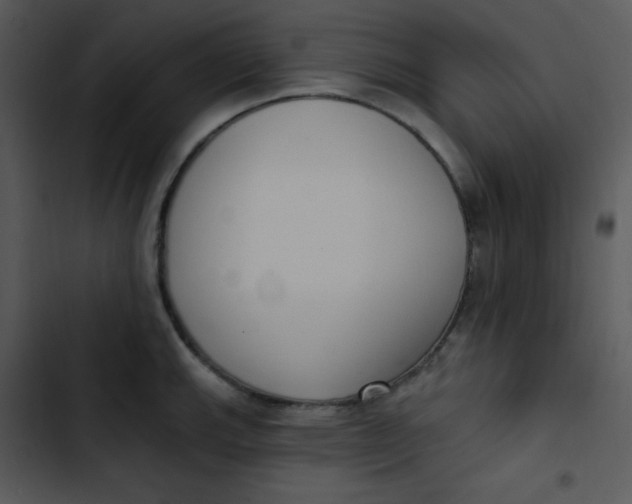 X0000102811143200809081102