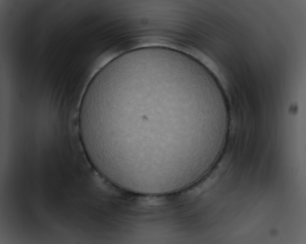 X0000102811145200809081102