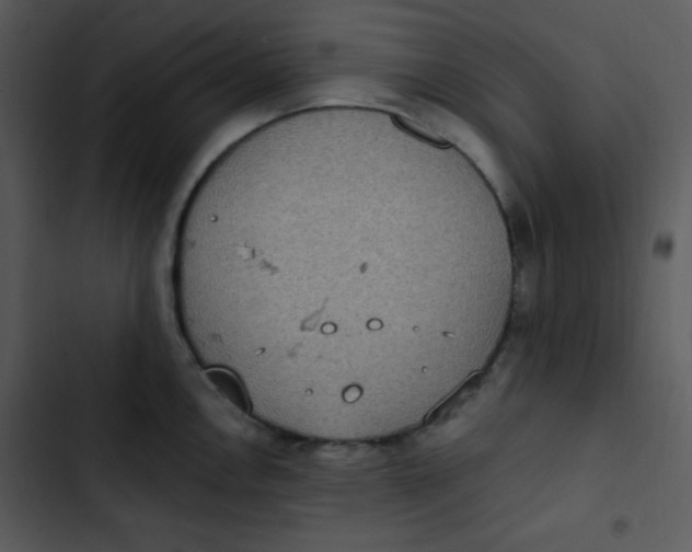 X0000102811146200809081102