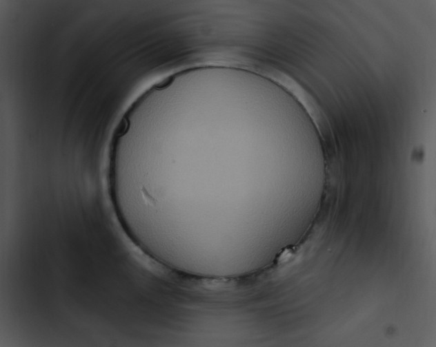 X0000102811147200809081102