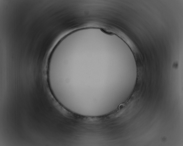 X0000102811148200809081102