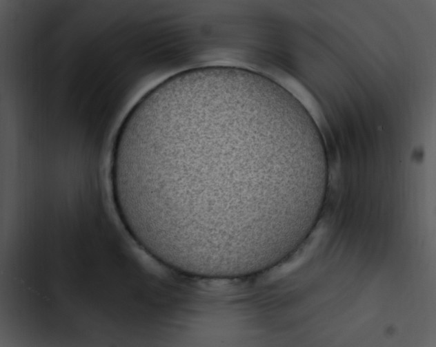 X0000102811149200809081102