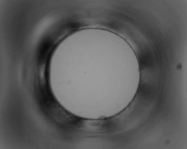 X0000102811150200809081102