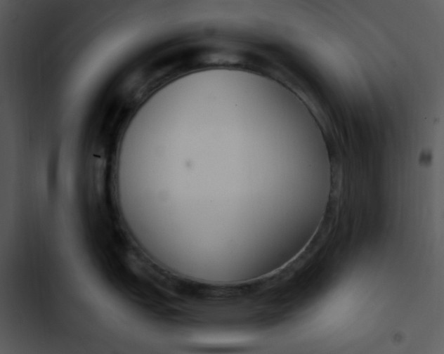 X0000102811151200809081102