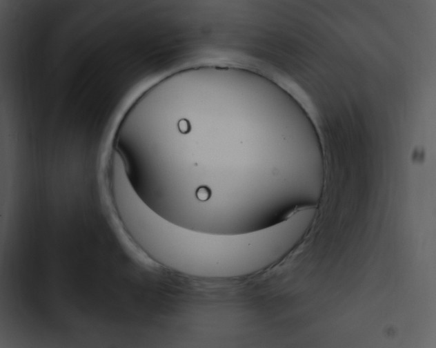 X0000102811152200809081102