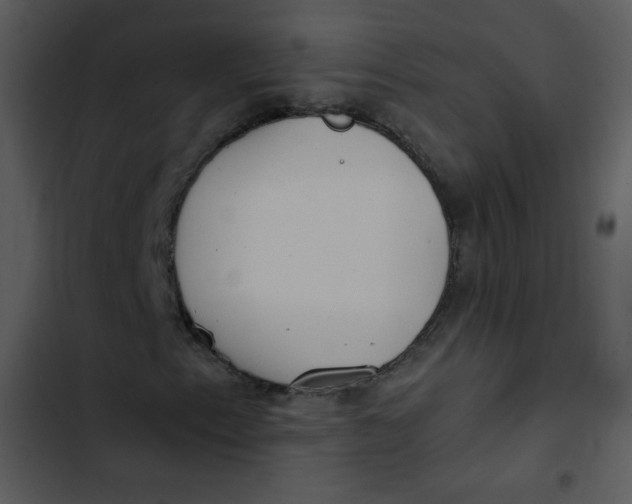 X0000102811153200809081102