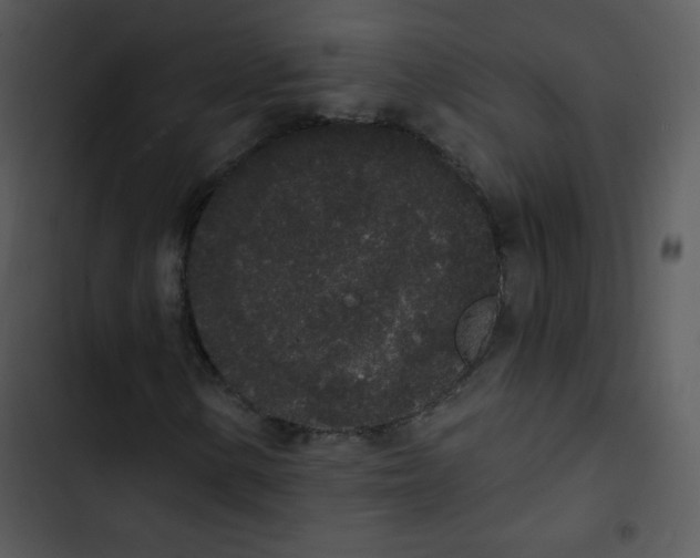 X0000102811154200809081102