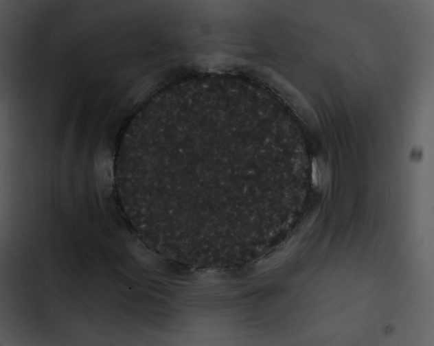 X0000102811155200809081102