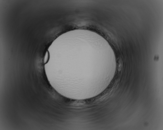 X0000102811156200809081102