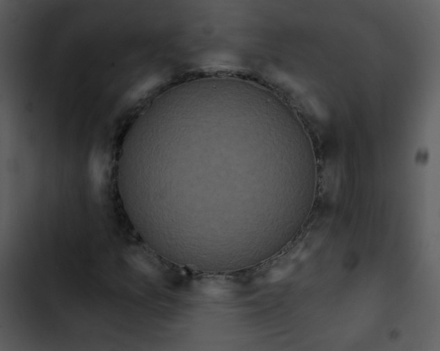 X0000102811157200809081102