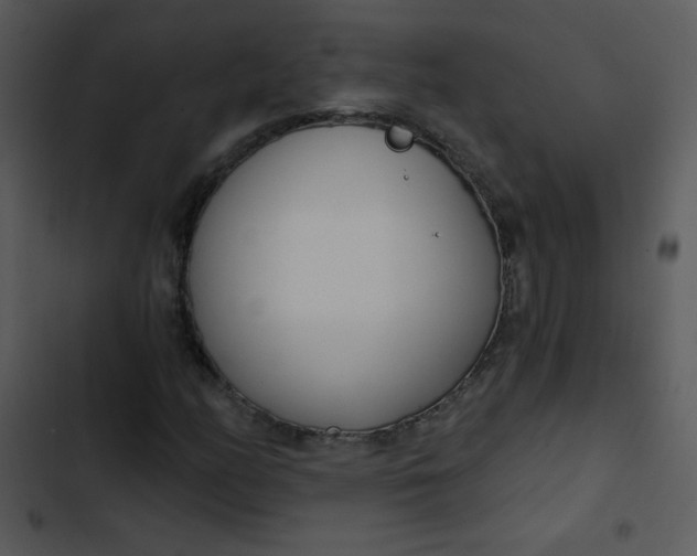 X0000102811158200809081102