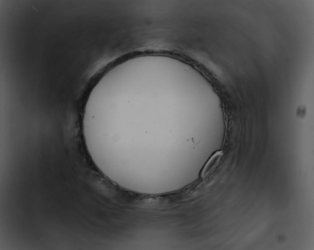 X0000102811160200809081101