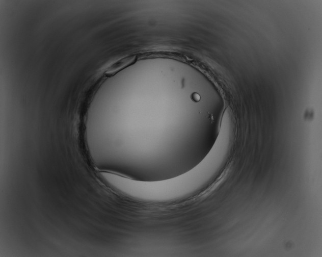 X0000102811161200809081101