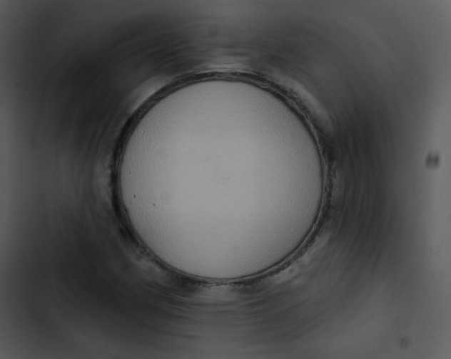 X0000102811162200809081101