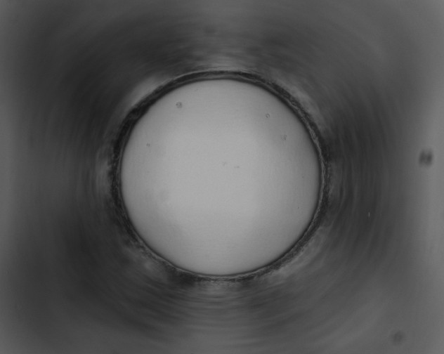 X0000102811163200809081101