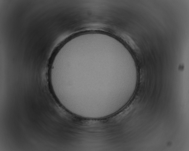 X0000102811164200809081101