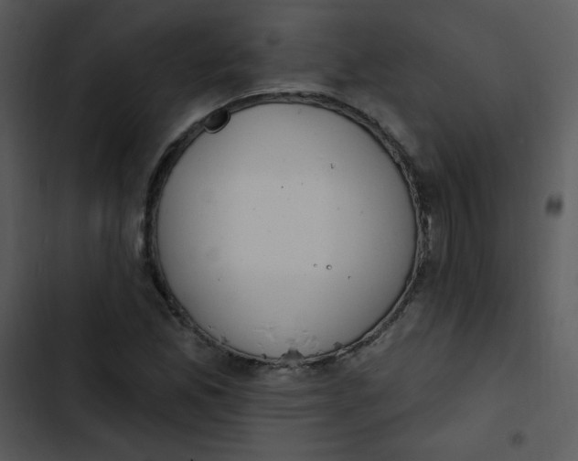 X0000102811165200809081101