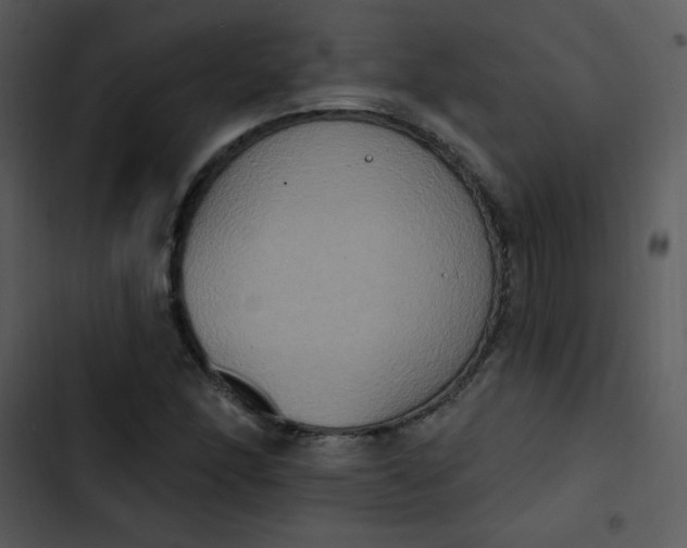 X0000102811166200809081101